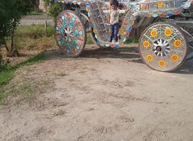 Sadiq Ali Shehzad Art Gallery