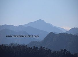 Mindo cloudforest tours