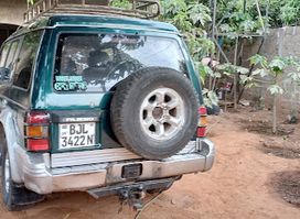 Bird Guide Gambia - Abdoulie Ndure