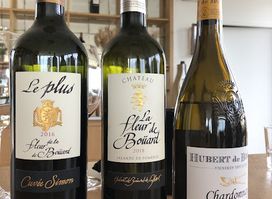 Rendez vous au Chateau - Wine tours in Bordeaux -Dégustation/Visite guidée de vignoble, Circuit/Wine tours journée, Bordeaux