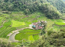 Bangaan Ifugao Rice Terraces