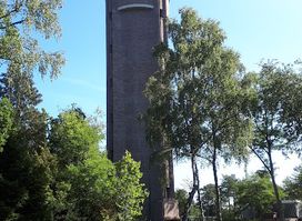 Biltse Dunes - Utrechtslandschap