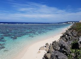 Family Beach