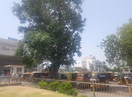 DEERS' STATUE Jabalpur railway staion