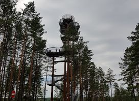 Merkinė observation tower