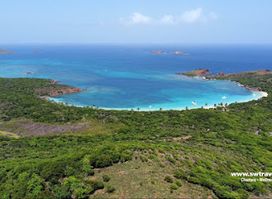 Smart Wellness Travel (Charters and Boat Tours)
