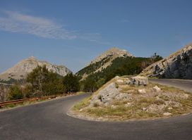 Viewpoint