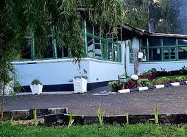Le Bambou Gorilla Lodge