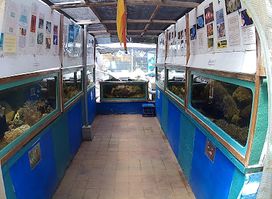 Aquasearch Aquarium