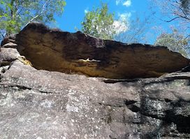 Bidjigal Reserve