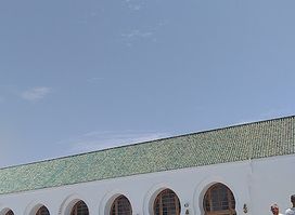 مسجد الروى