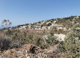 Agios Neofytos CatPark