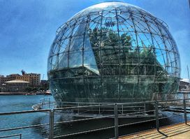 Aquarium of Genoa