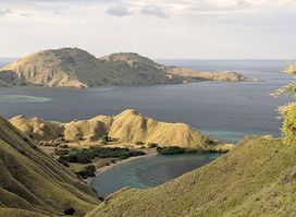 Sokaraja Liveaboard Komodo