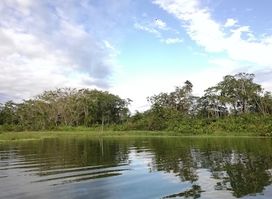 Limoncocha National Biological Reserve