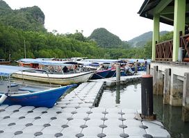 Langkawi Mangrove Tour