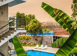 Carola Lodge
