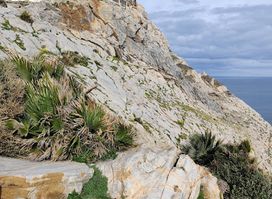 Cap de Garde FAR