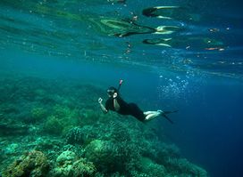 vano wolok,Bunaken Sewa Kapal - Bunaken Home stay - Day Tour, Diving and Snorkeling