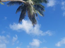 Anse Barbarons