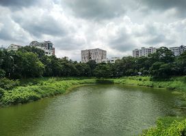 Gulshan Society Lake Park