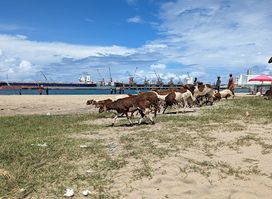 Toamasina Beach