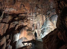 Divaška Cave