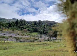 Sendero Cerro Artillería