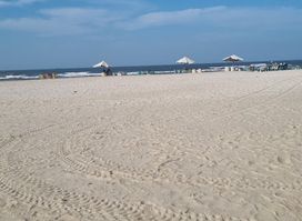 Marina beach