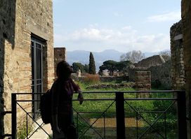Fullery of Stephanus