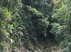 Jima Falls