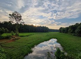 Chakrashila Wildlife Sanctuary
