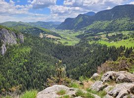 Piatra Poienii (Refugiu)