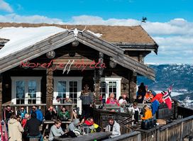 Norefjellhytta Restaurant & Overnatting