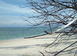 Pulau Sibuntar