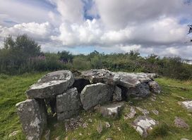 The Burren Forest