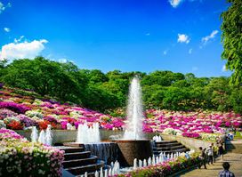 Nishiyama Park