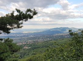 Observation deck
