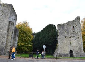 Maynooth Castle
