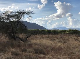 Buffalo Springs National Reserve