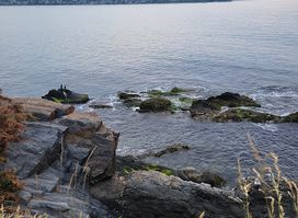 Forty steps - Cliff walk