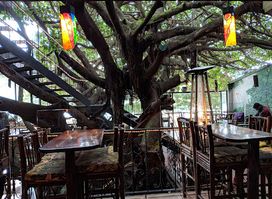 Tree House Restaurante