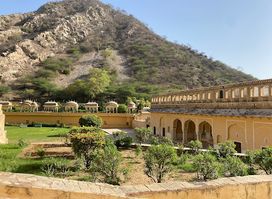 Vidyadhar Bagh