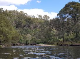Middle Harbour Creek