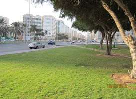 Delma Park