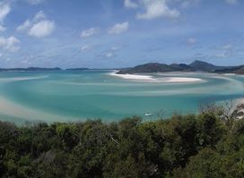 Hamilton Island Wildlife