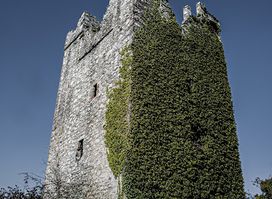 Dunmahon Castle