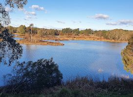 Cecil Hoskins Nature Reserve