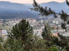 Celje Treehouse