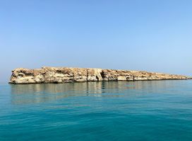 Farasan Island Marine Sanctuary
